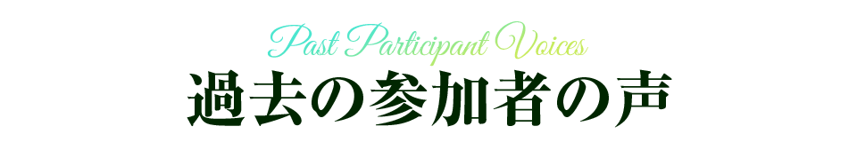 過去の参加者の声